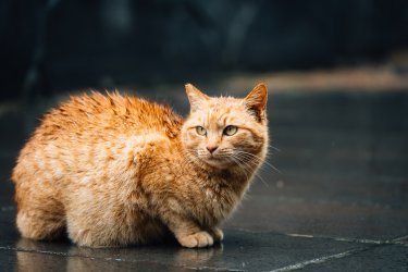 2024RTW_extralowres-71.jpg 2024RTW_extralowres-71.jpg