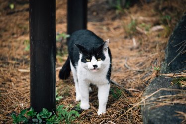 2024RTW_extralowres-70.jpg 2024RTW_extralowres-70.jpg