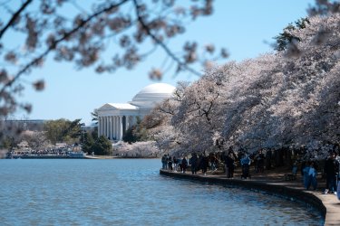 2024RTW_extralowres-99.jpg 2024RTW_extralowres-99.jpg