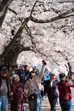 2024RTW_extralowres-103.jpg 2024RTW_extralowres-103.jpg