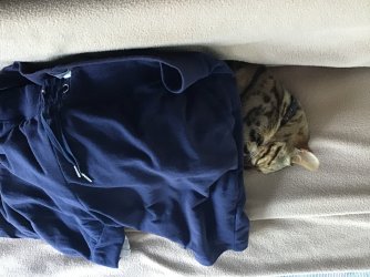 IMG_9386.jpeg IMG_9386.jpeg