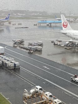 IMG_9294.jpeg IMG_9294.jpeg