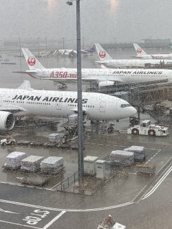 IMG_9295.jpeg IMG_9295.jpeg