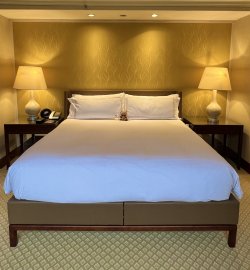 IMG_4841.jpeg IMG_4841.jpeg