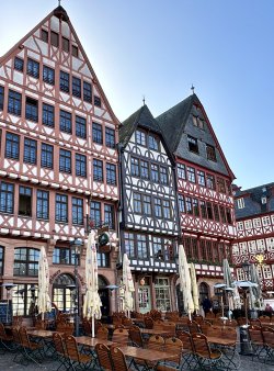 IMG_9646.jpeg IMG_9646.jpeg