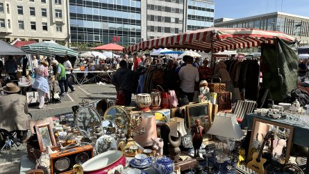 IMG_9681.jpeg IMG_9681.jpeg