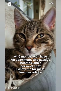 IMG_8716.jpeg IMG_8716.jpeg