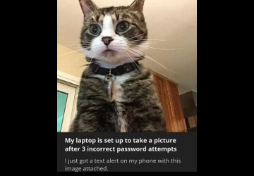 IMG_3822.png IMG_3822.png