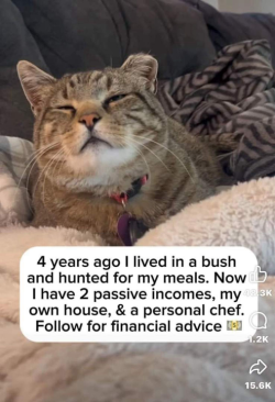 1714618364326.png 1714618364326.png