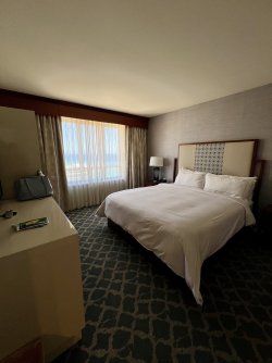 IMG_9741.jpeg IMG_9741.jpeg