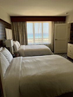 IMG_9739.jpeg IMG_9739.jpeg