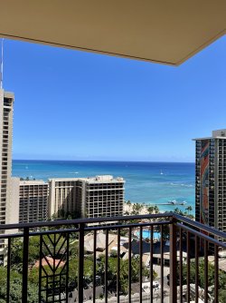 IMG_9743.jpeg IMG_9743.jpeg