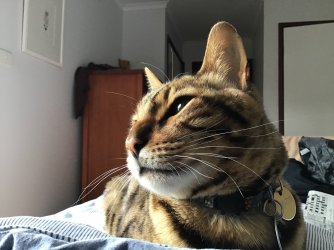 IMG_9415.jpeg IMG_9415.jpeg