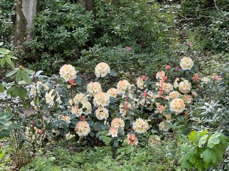 IMG_9040.JPG IMG_9040.JPG