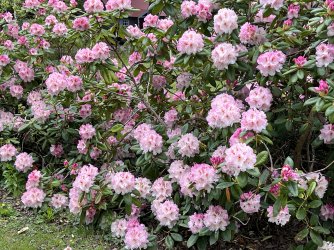 IMG_9048.JPG IMG_9048.JPG