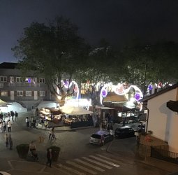 IMG_9475.jpeg IMG_9475.jpeg