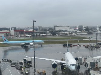 IMG_0113.jpeg IMG_0113.jpeg