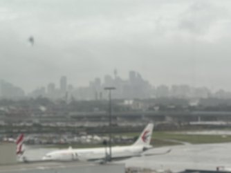 IMG_0111.jpeg IMG_0111.jpeg