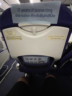 IMG_8302.jpeg IMG_8302.jpeg