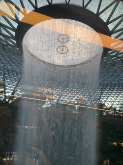 IMG_8245.jpeg IMG_8245.jpeg