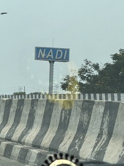 IMG_8216.jpeg IMG_8216.jpeg