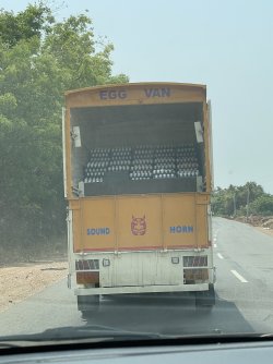 IMG_8208.jpeg IMG_8208.jpeg