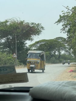 IMG_8207.jpeg IMG_8207.jpeg