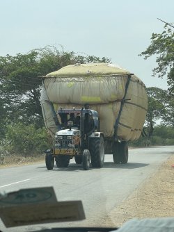 IMG_8206.jpeg IMG_8206.jpeg