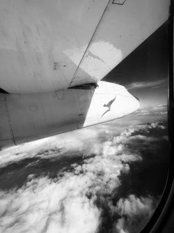 IMG_8159.jpeg IMG_8159.jpeg