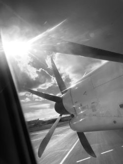 IMG_8153.jpeg IMG_8153.jpeg