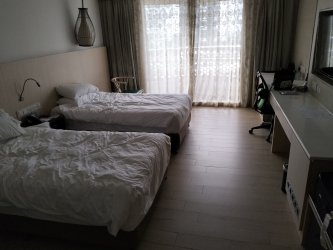 IMG20240511144945.jpg IMG20240511144945.jpg