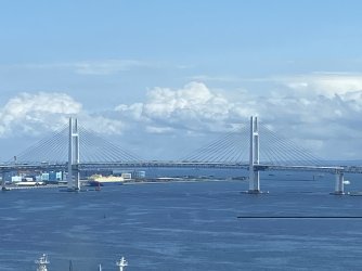 IMG_8761.jpg