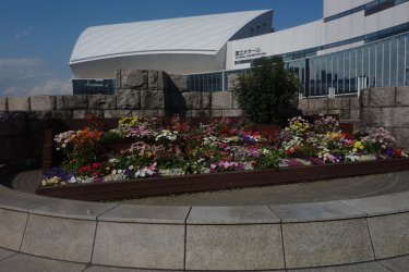 DSC05010.JPG