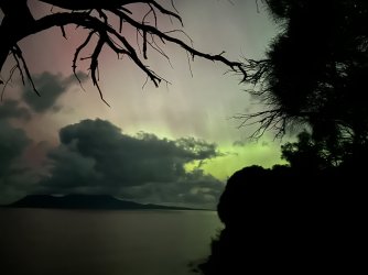 IMG_1397.jpeg IMG_1397.jpeg