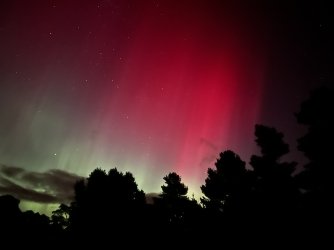 IMG_1403.jpeg IMG_1403.jpeg