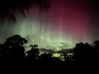 IMG_1402.jpeg IMG_1402.jpeg