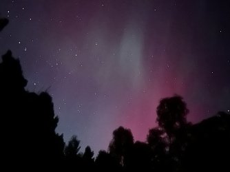 IMG_1413.jpeg IMG_1413.jpeg