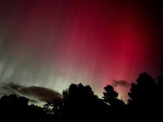 IMG_1407.jpeg IMG_1407.jpeg