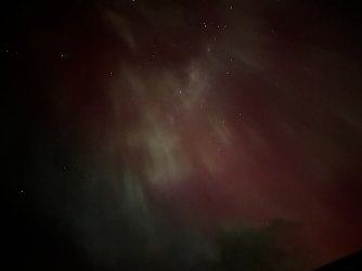 IMG_1454.jpeg IMG_1454.jpeg