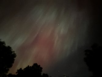 IMG_1452.jpeg IMG_1452.jpeg