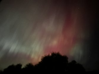 IMG_1449.jpeg IMG_1449.jpeg