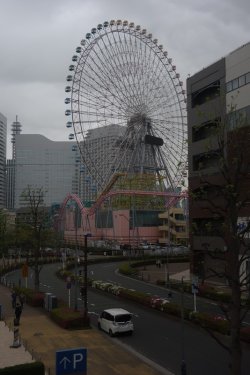 DSC05054.JPG