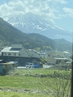 IMG_8898.jpg