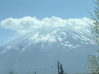 IMG_8934.jpg