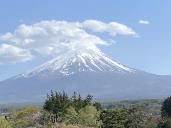 IMG_8937.jpg