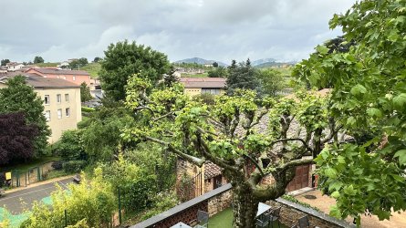 IMG_0046.jpeg IMG_0046.jpeg