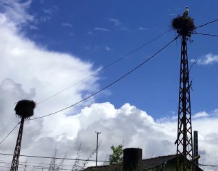 IMG_9541.jpeg IMG_9541.jpeg