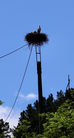 026A6066.jpeg 026A6066.jpeg