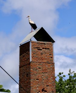 026A6069.jpeg 026A6069.jpeg