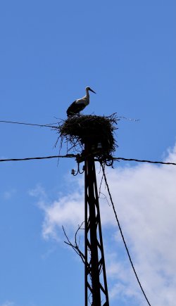 026A6064.jpeg 026A6064.jpeg